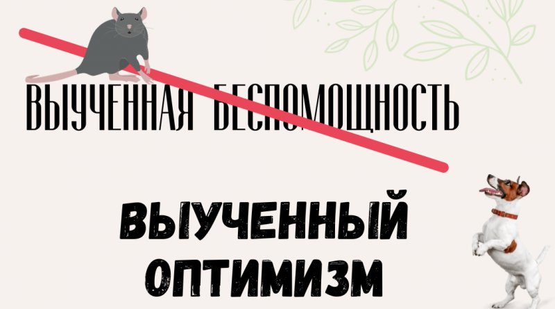 Выученная беспомощность. Новый взгляд